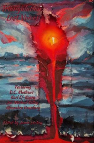 Triangulation Lost Voices